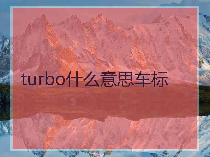 turbo什么意思车标