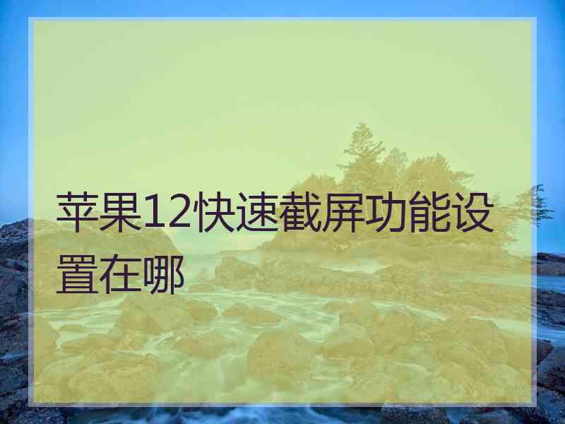 苹果12快速截屏功能设置在哪