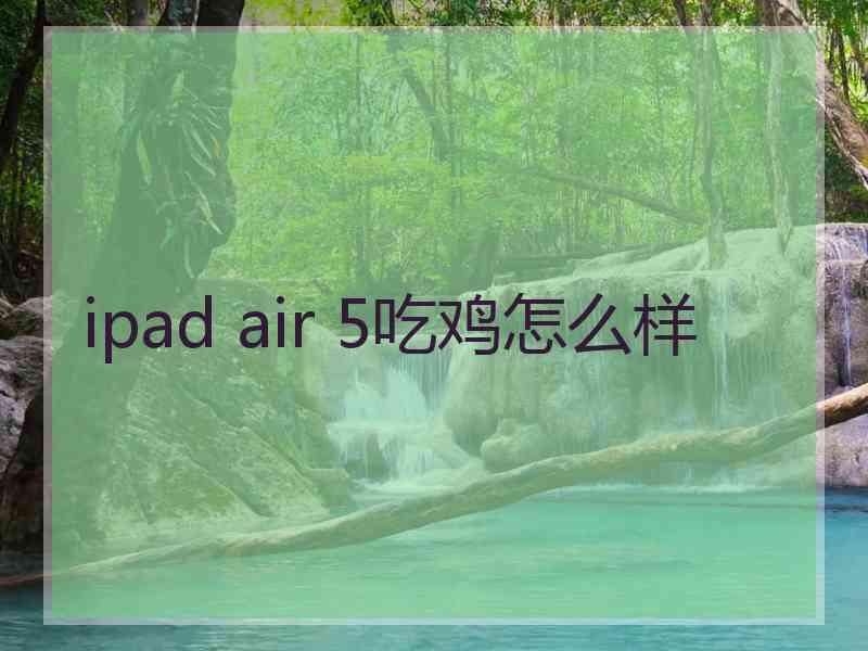 ipad air 5吃鸡怎么样