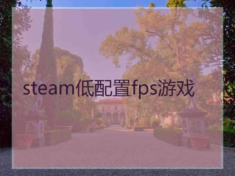 steam低配置fps游戏