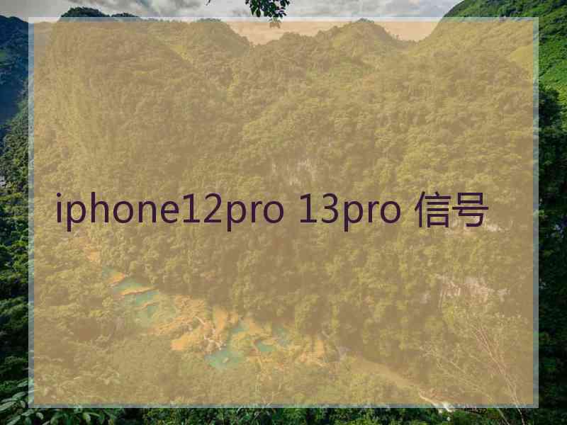 iphone12pro 13pro 信号