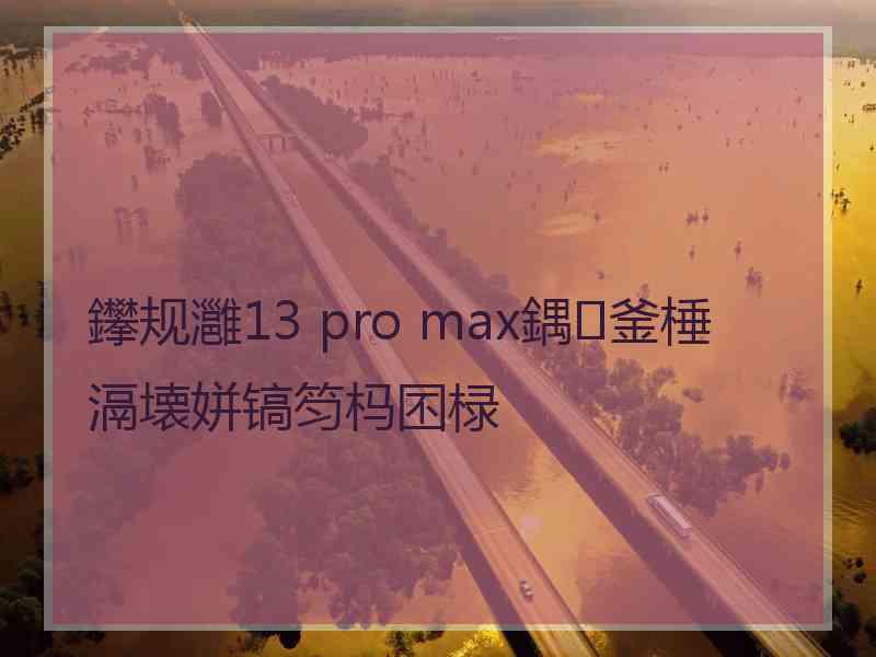 鑻规灉13 pro max鍝釜棰滆壊姘镐笉杩囨椂