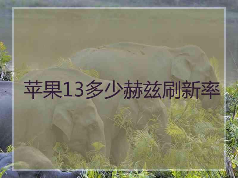 苹果13多少赫兹刷新率