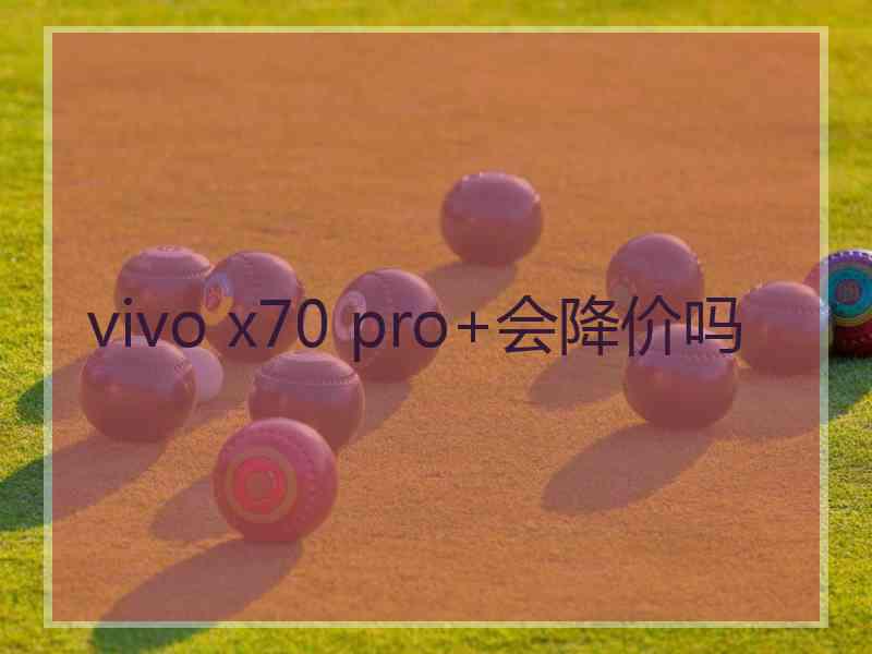 vivo x70 pro+会降价吗