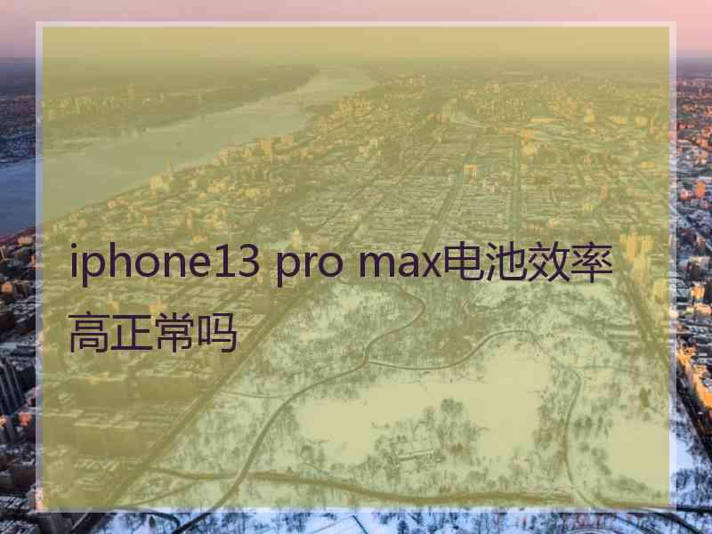 iphone13 pro max电池效率高正常吗