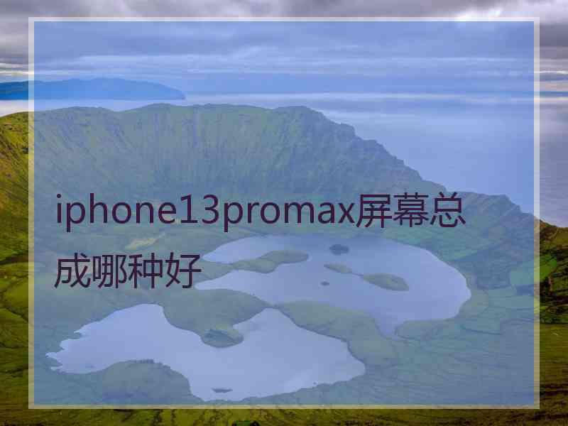 iphone13promax屏幕总成哪种好