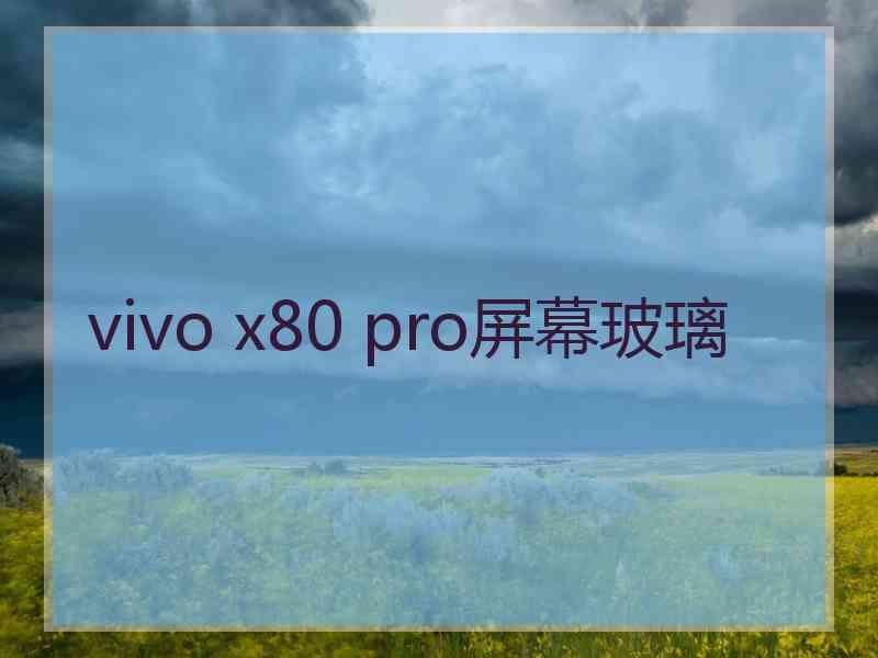 vivo x80 pro屏幕玻璃