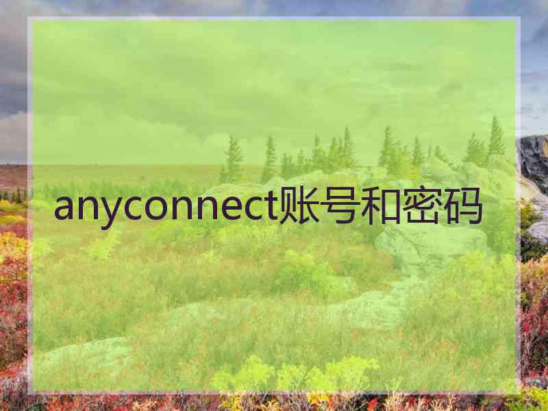 anyconnect账号和密码