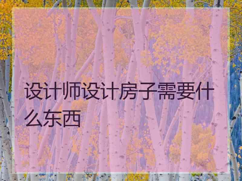 设计师设计房子需要什么东西