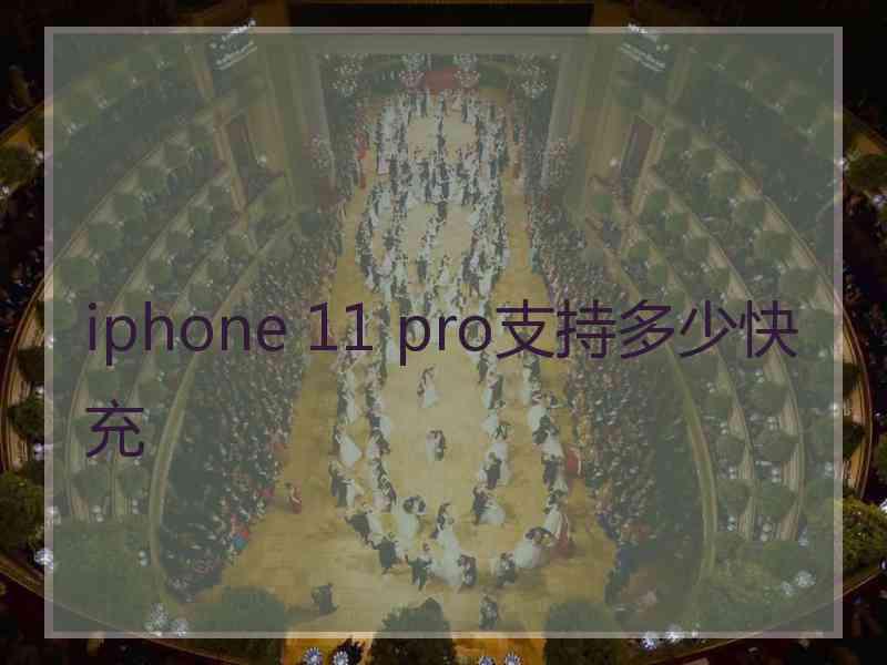 iphone 11 pro支持多少快充