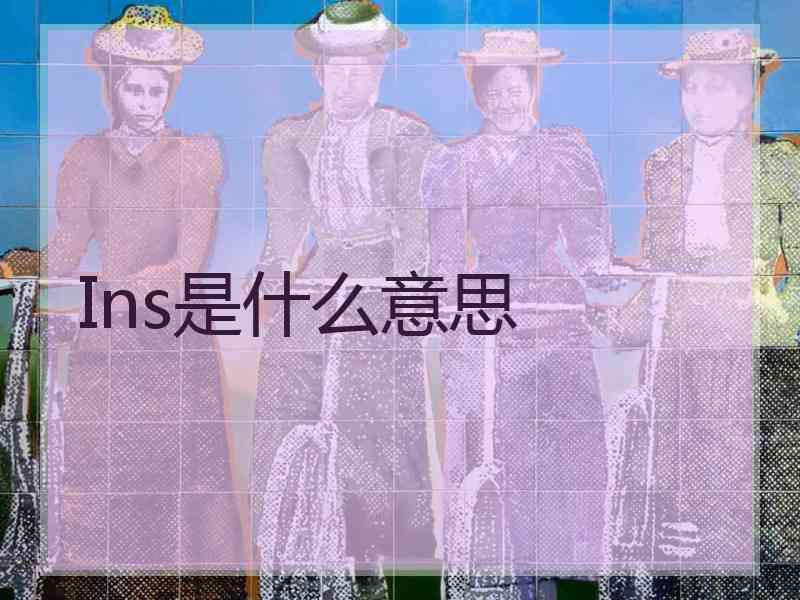 Ins是什么意思