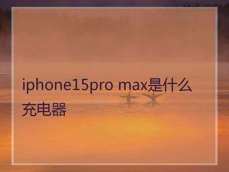 iphone15pro max是什么充电器