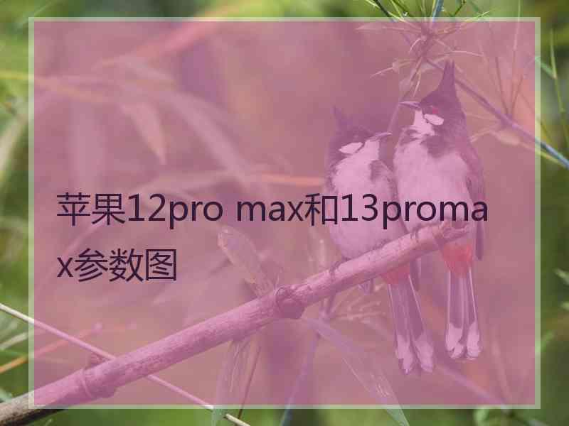 苹果12pro max和13promax参数图