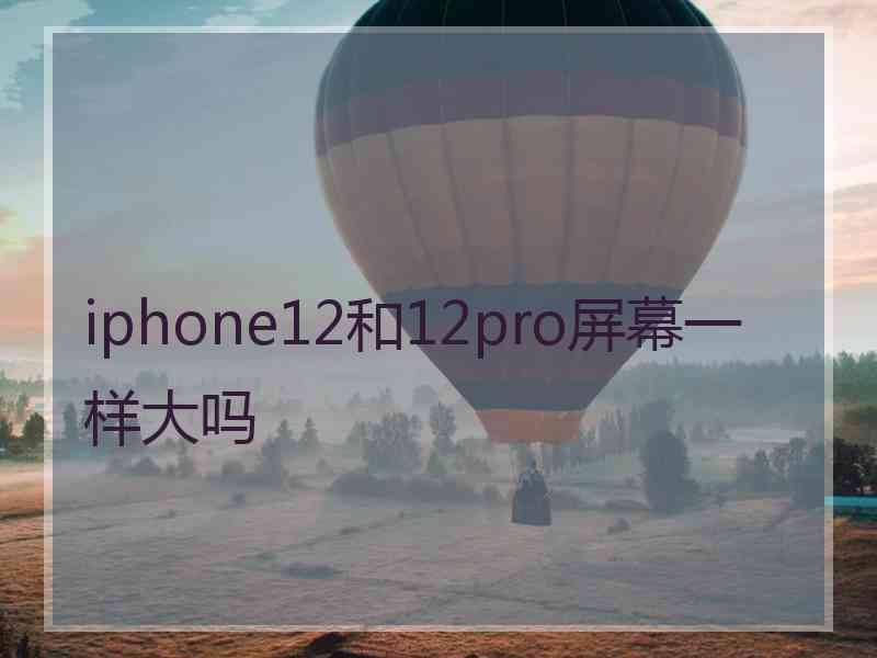 iphone12和12pro屏幕一样大吗