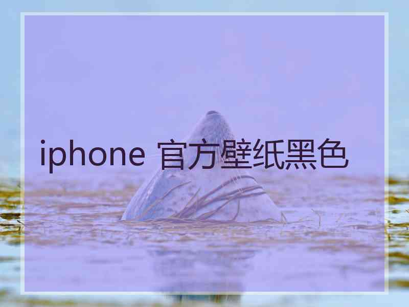 iphone 官方壁纸黑色