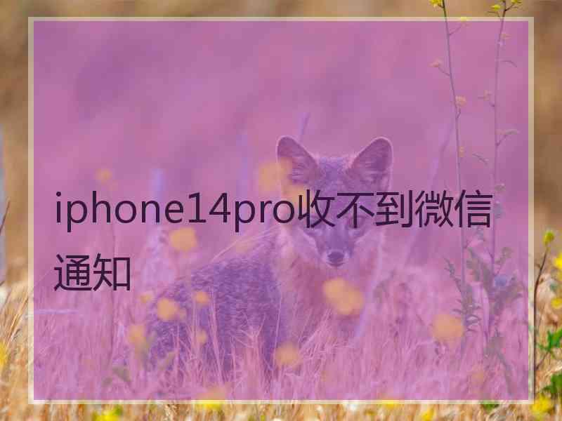 iphone14pro收不到微信通知