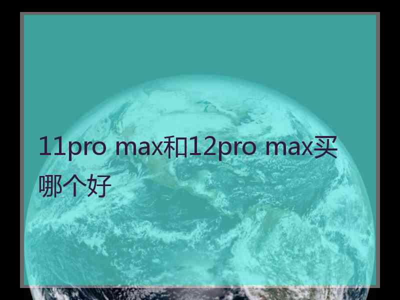 11pro max和12pro max买哪个好