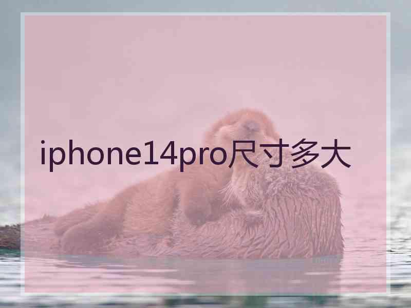 iphone14pro尺寸多大