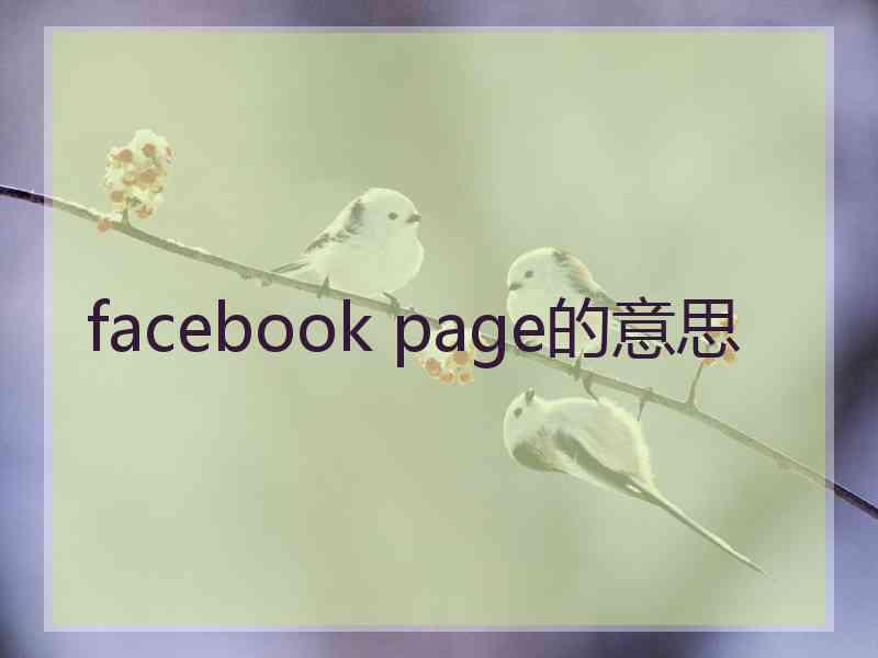 facebook page的意思