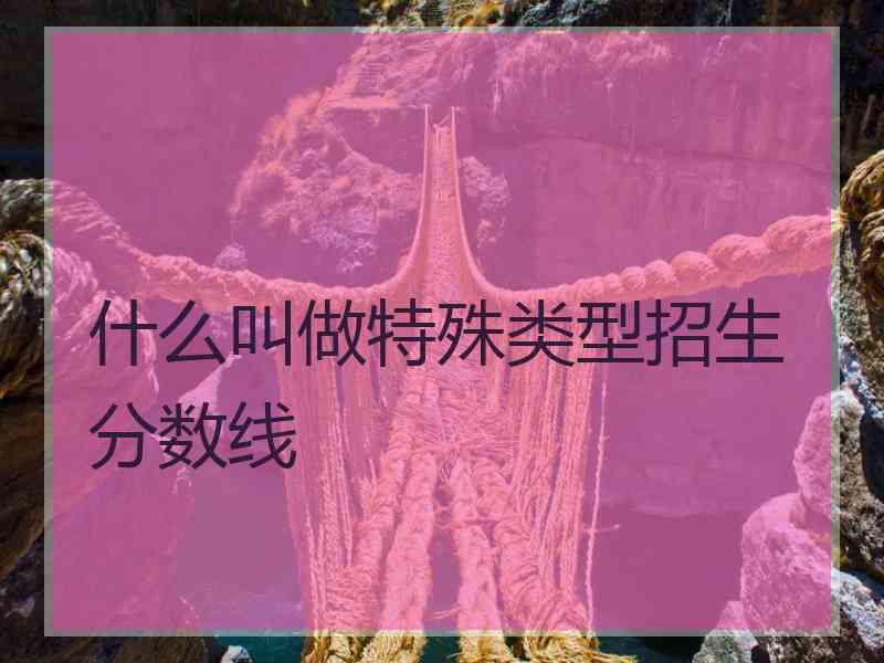 什么叫做特殊类型招生分数线