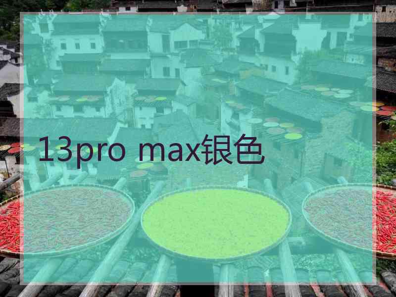 13pro max银色