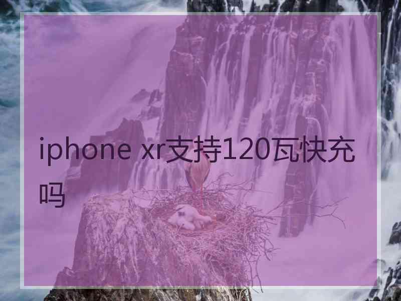 iphone xr支持120瓦快充吗