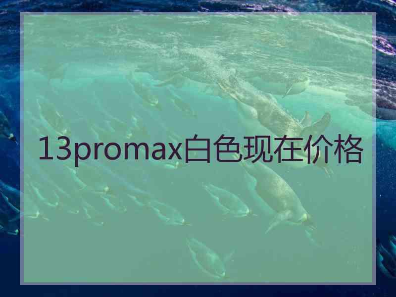 13promax白色现在价格