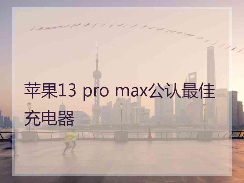 苹果13 pro max公认最佳充电器