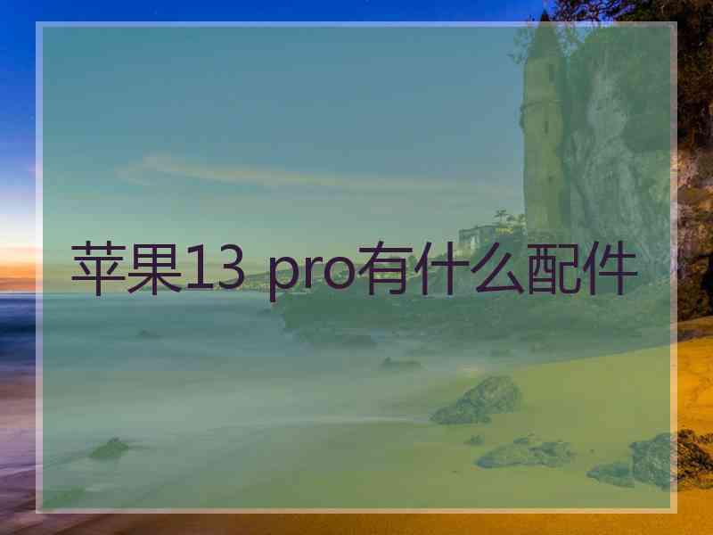 苹果13 pro有什么配件