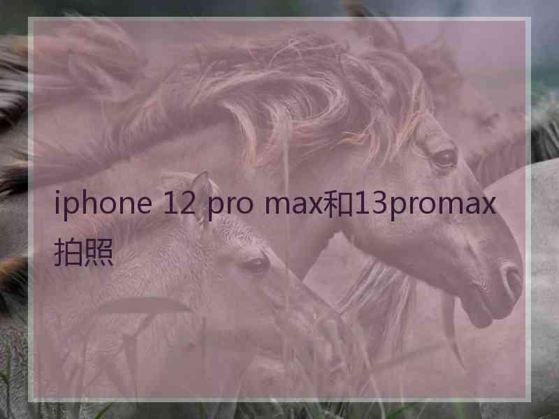 iphone 12 pro max和13promax拍照