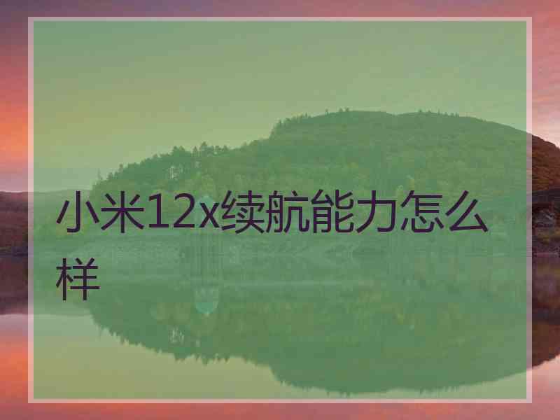 小米12x续航能力怎么样