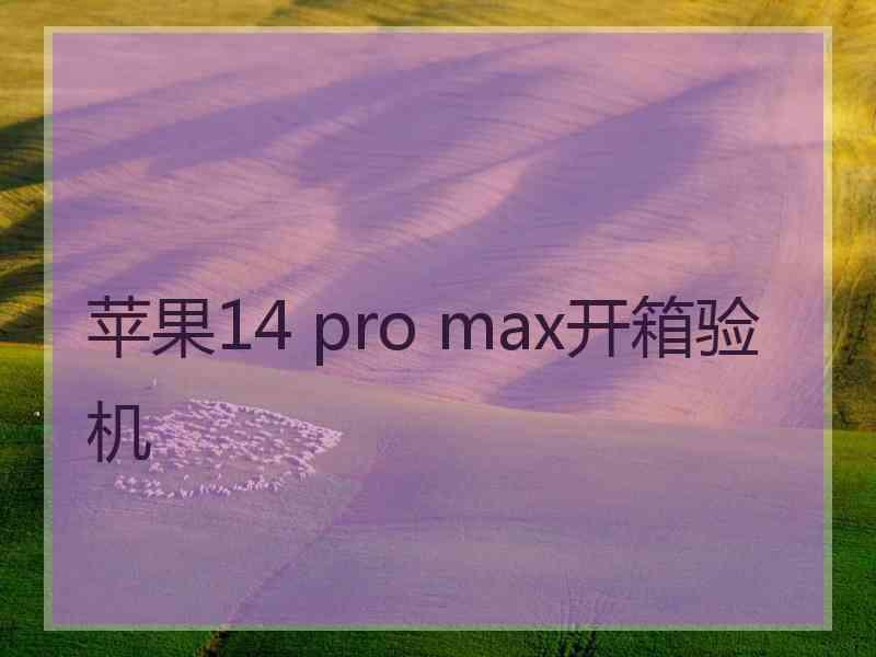 苹果14 pro max开箱验机