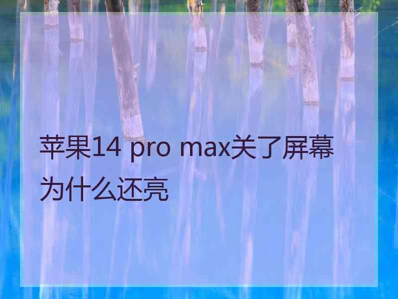 苹果14 pro max关了屏幕为什么还亮