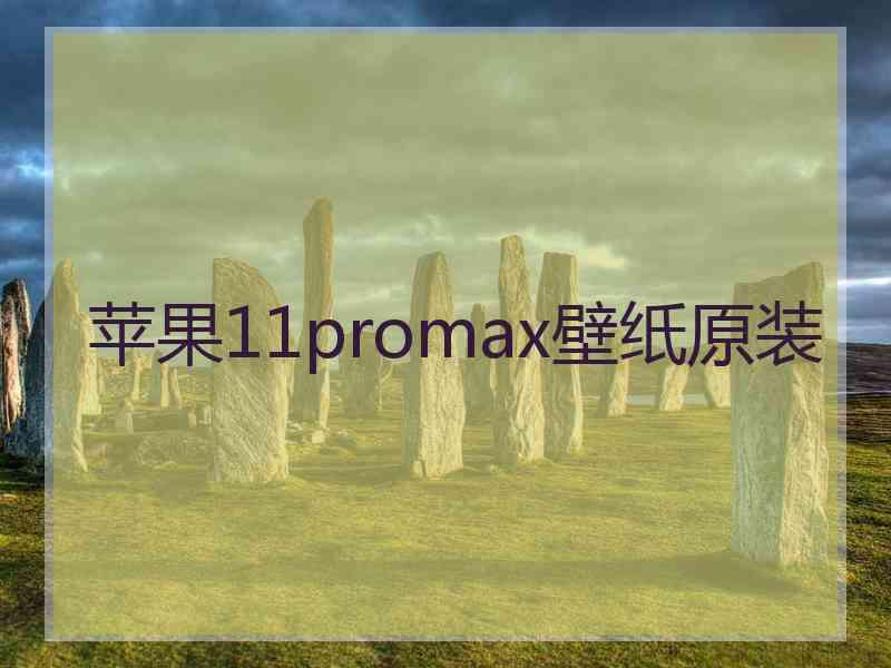 苹果11promax壁纸原装