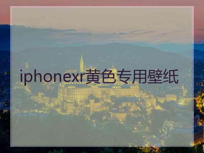 iphonexr黄色专用壁纸