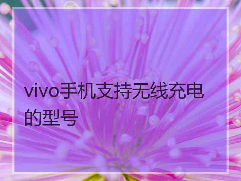 vivo手机支持无线充电的型号