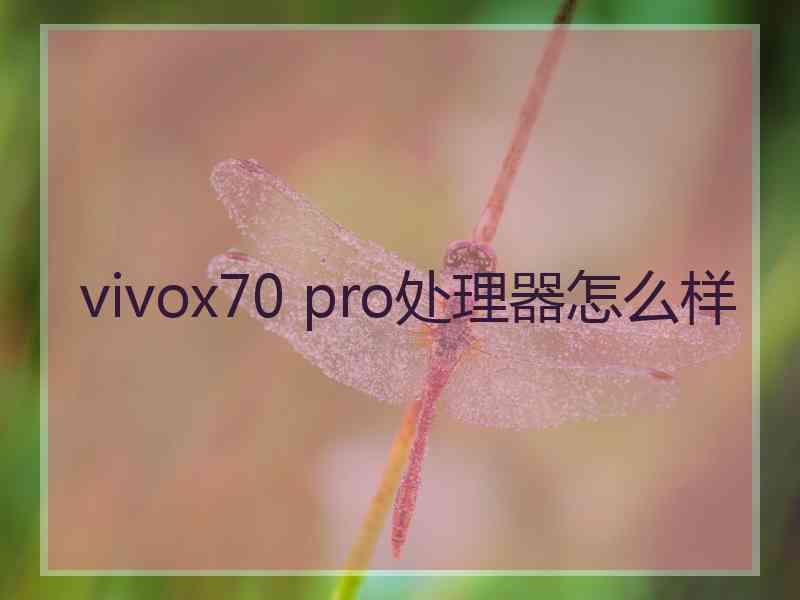 vivox70 pro处理器怎么样