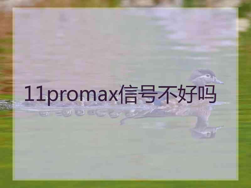 11promax信号不好吗