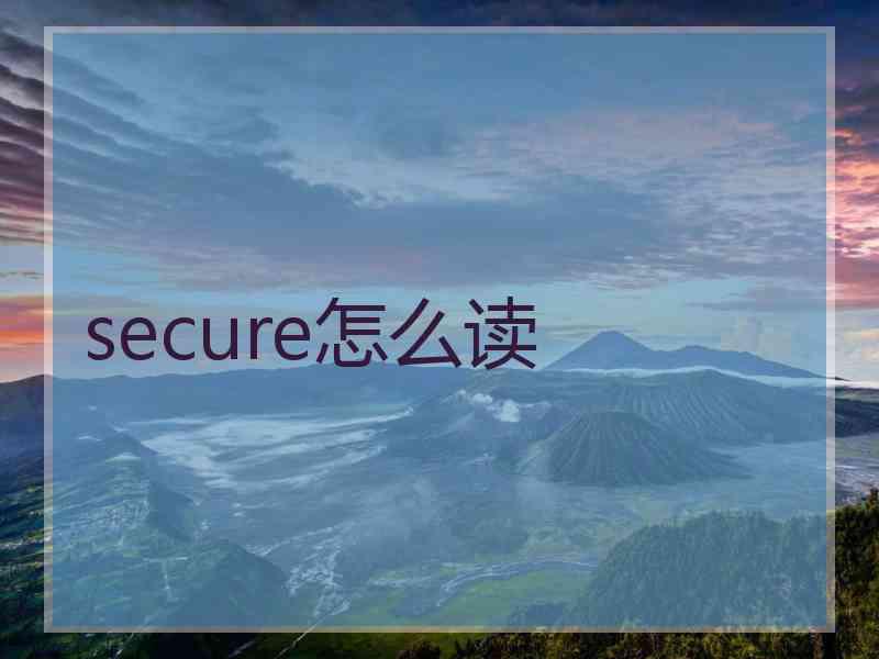 secure怎么读