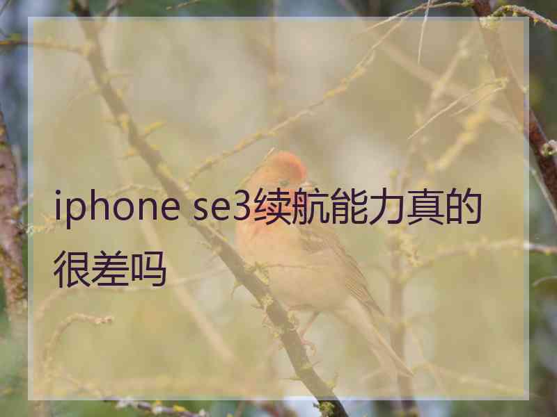 iphone se3续航能力真的很差吗