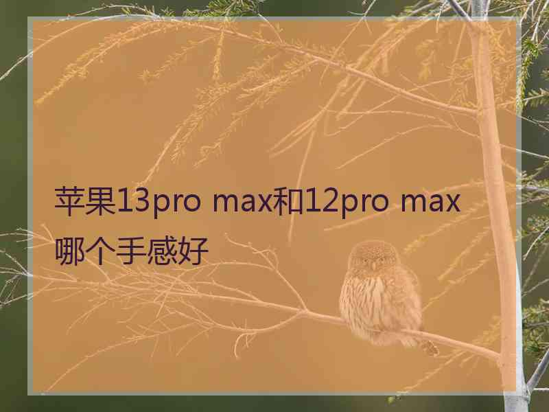 苹果13pro max和12pro max哪个手感好