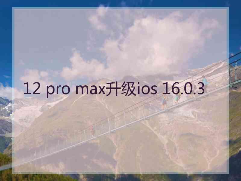 12 pro max升级ios 16.0.3