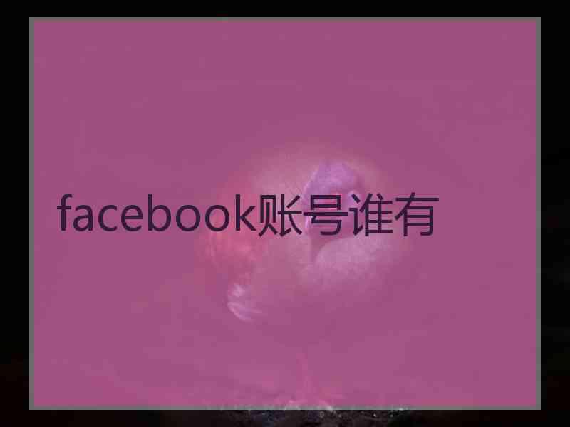 facebook账号谁有