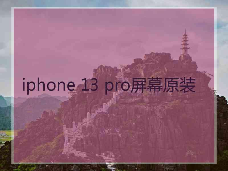 iphone 13 pro屏幕原装