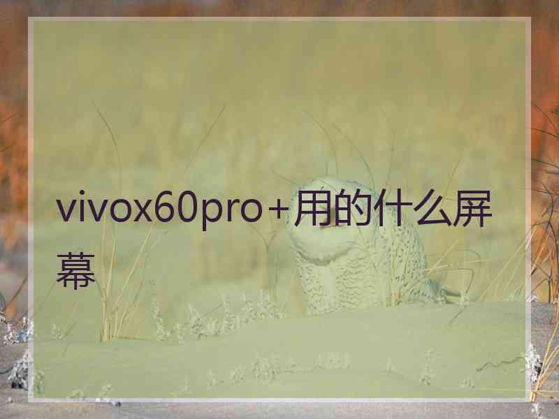 vivox60pro+用的什么屏幕