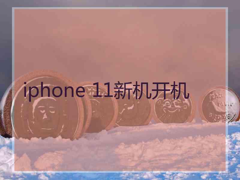 iphone 11新机开机