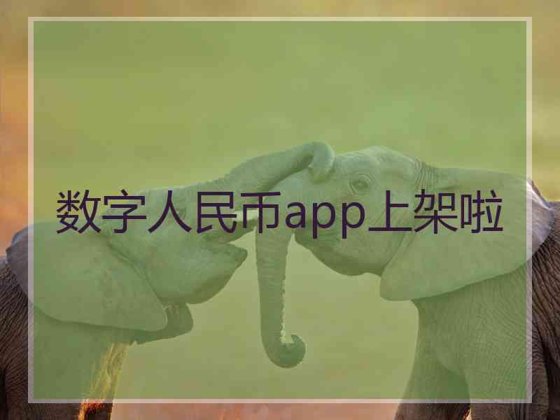 数字人民币app上架啦