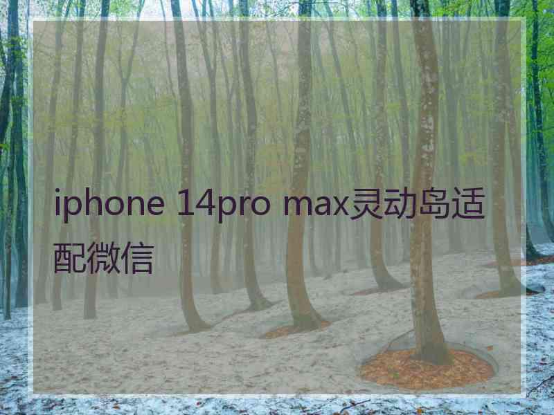 iphone 14pro max灵动岛适配微信