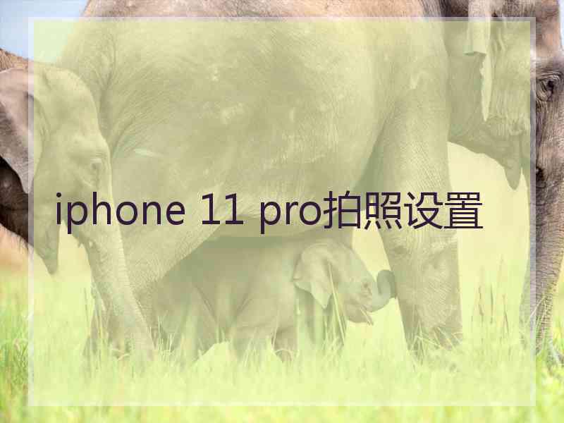 iphone 11 pro拍照设置