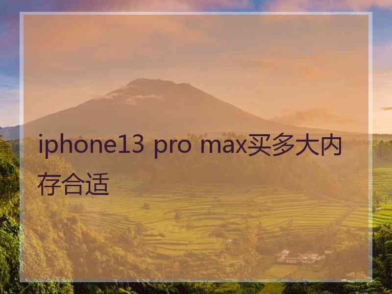 iphone13 pro max买多大内存合适